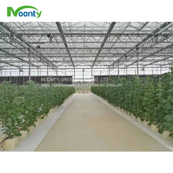 Farm Hydroponics photo-4