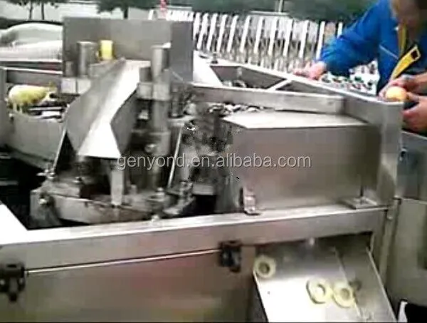 Small Pitting Machine Mango Jujube, Coconut Jujube Pitting Machine for Sale photo-5