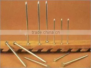 Top Quality Iron Nails Supply, Iron Nail, Common Wire Nail as Construction Material photo-4