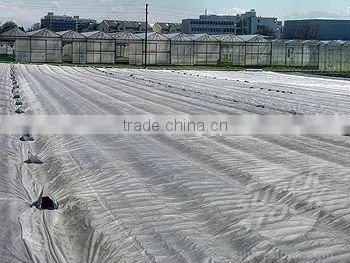 PP Agriculture Non-woven Crop Cover Factory photo-2