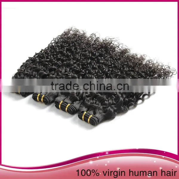 Wholesale Unprocessed Brazilian Human Hair Extension, Afro Women Kinky Curly Human Hair Extension photo-6