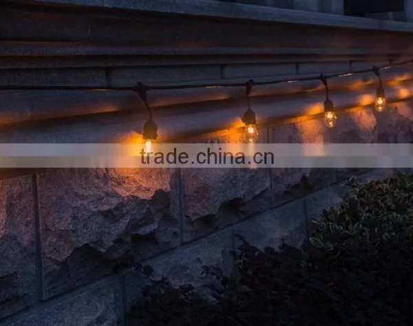 Outdoor Christmas Laser Lights 110V 10 Socket Outdoor String Lights photo-3