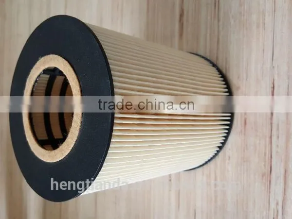 Oil Filters E13HD47 HU1381X 51055040098