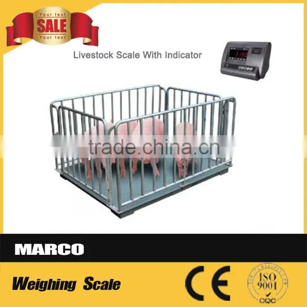 2.5Ton Digital Pet Scale photo-4