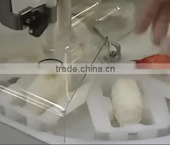 SUZUMO SGP-SNB-CE Sushi Forming and Packing Machine photo-4