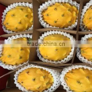 EPE Colorful Fruit and Vegetable Packaging Foam Nets photo-2