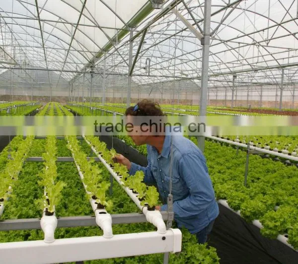 Vegetable Greenhouse Hydroponic Systems photo-5