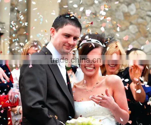 1200W Stage Equipment Color Paper Big Confetti Blower Machine With Flight Case photo-6