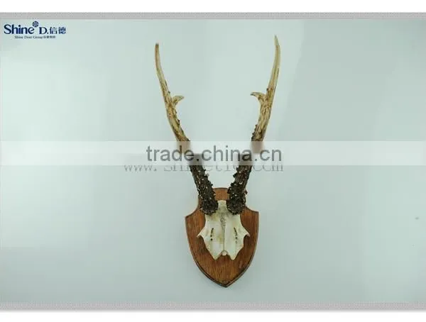 Polyresin Deer Head Skull Wall Decoration Animal Head Sculpture