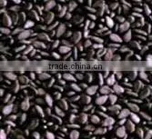 Black Sesame Seed