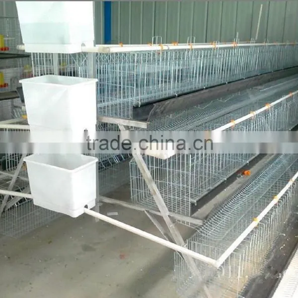 Automatic Feeding for Chicken Cage , Laying Hen , photo-3