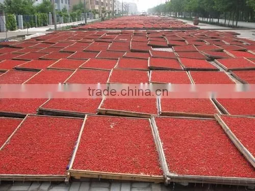 Dried Chinese Red Gojiberry photo-6