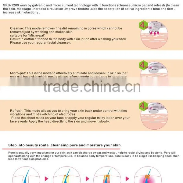 Ionic Cleanser Ion Vibration Injection Skin Whitening Device photo-4
