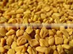 Fenugreek Seeds