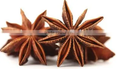 MANUFACTURER OF SPRING STAR ANISE