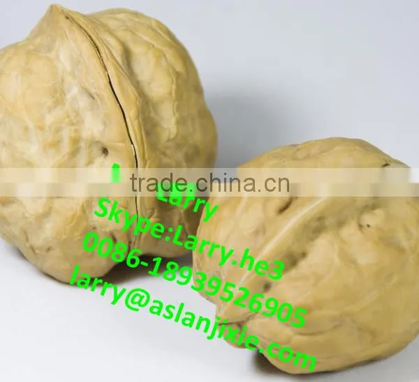 Nut Size Sorting Machine/walnut Size Grader/walnut Size Sorter photo-6