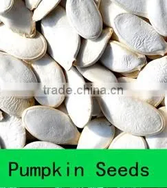 White Pumpkin Seeds/Pumpkin Seeds