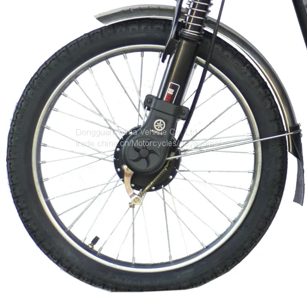 2017 Hotsalecargo Loading Bike Electric Bike Electric Bicycle for Carry Goods photo-2