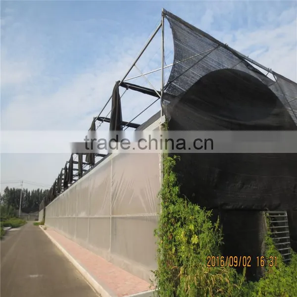 Glass Cover Material and Multi-Span Agricultural Greenhouses Type Greenhouse photo-6