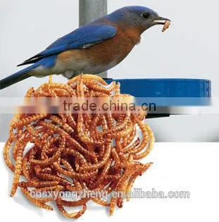 Dried Mealworms,Birds Food & Aquarium Fish Food photo-2