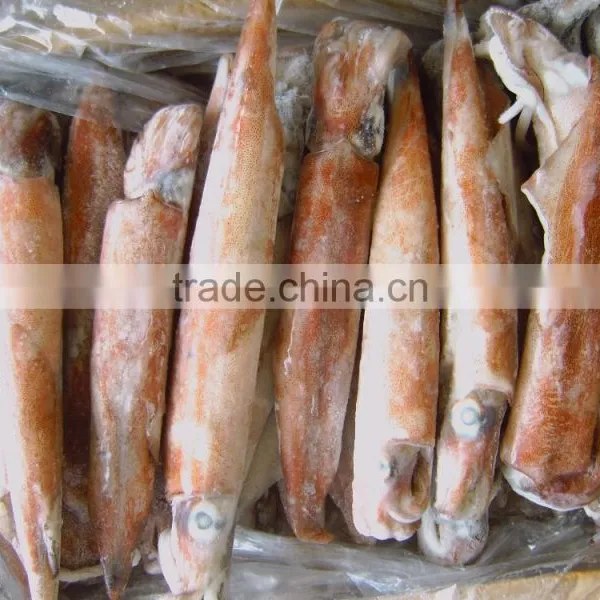 Frozen Argentina Squid(illex Squid)