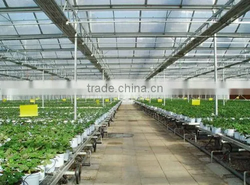 Agricultural Greenhouse Rolling Containers Produce Hydroponic