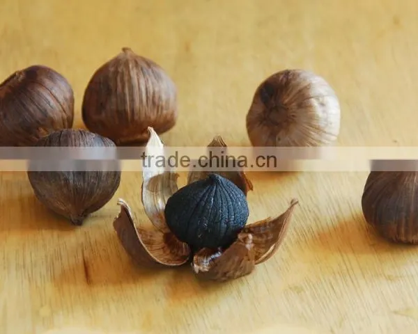 Zhengzhou Product Peeled Solo Black Garlic Packed With Organic Certificate photo-4