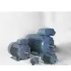 Cast Iron Motors
