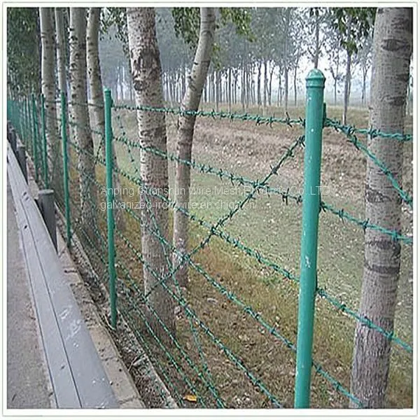 Barbed Wire Fence photo-4