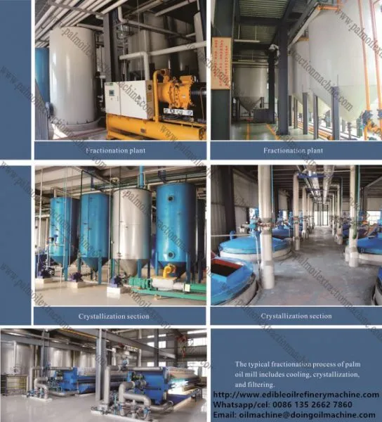 Canola/ Rapeseed Oil Processing Plant, Canola Oil Press Machine Price photo-3