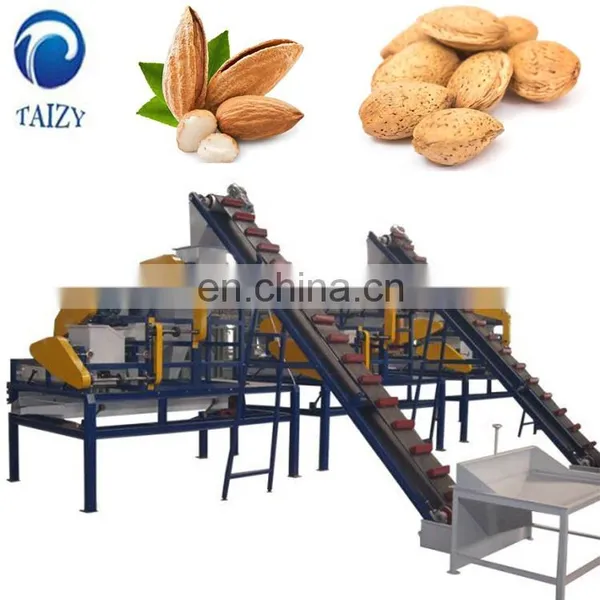 Taizy Nuts Cracker Processing Line photo-4