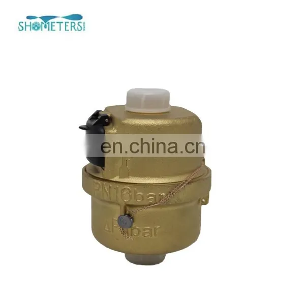 DN20 Volumetric Rotary Piston Water Meter Used in County Public Clean Water Supply photo-3