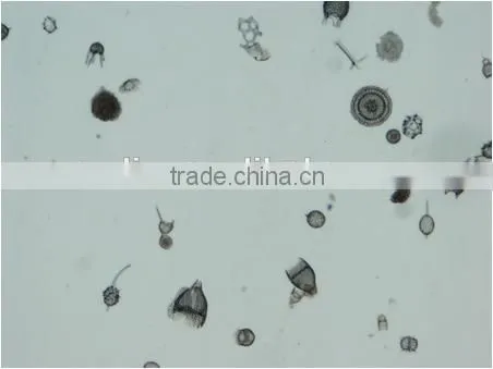 High Quality Zoology Slides ,high Quality Animal Slides photo-3