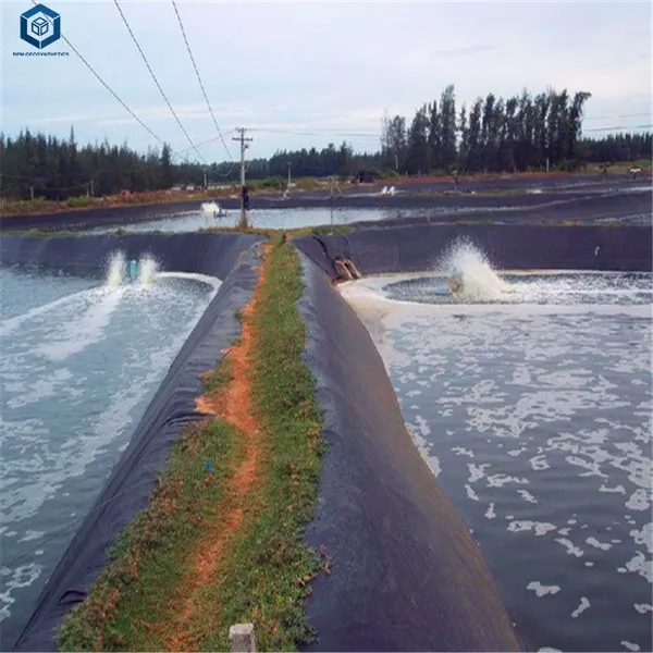 BPM GEOSYNTHETICS HDPE Geomembrane photo-3
