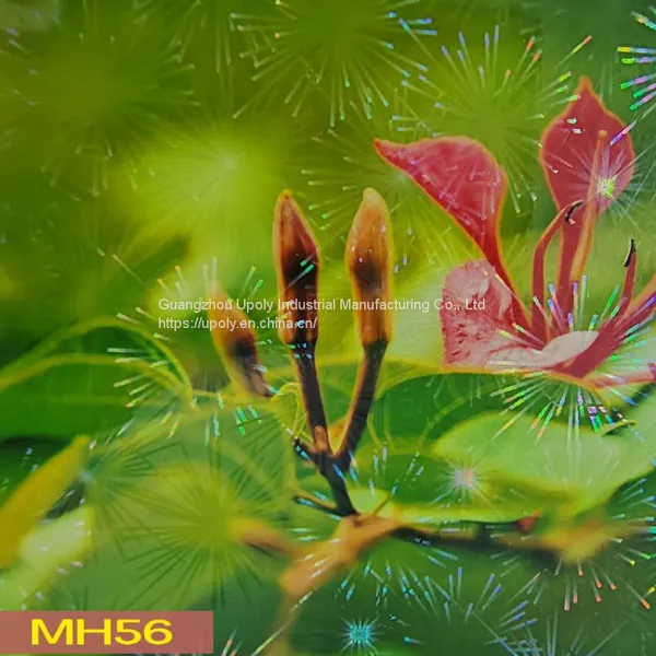 Clarity Holographic Film Cold Lamination Film Holographic Transparent