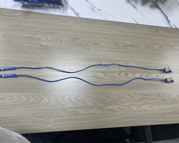 China Professional Trustworthy Inspection Team Data Cable Quality Control Service photo-2