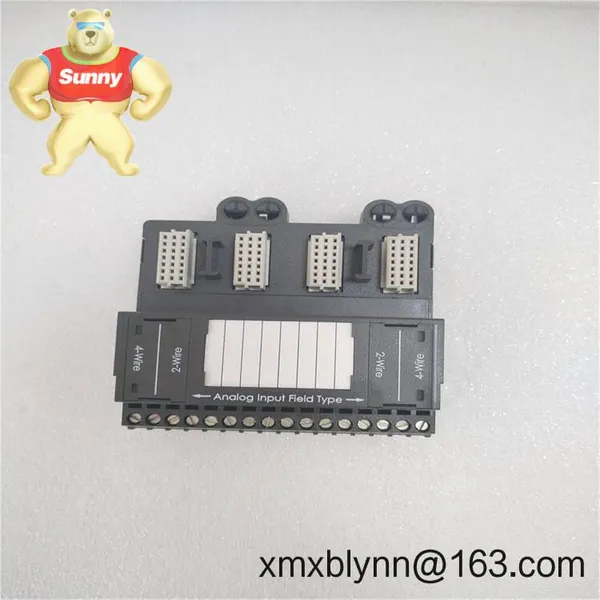 EMERSON VE4035S2B1 – System I/O Interface Module for Reliable DeltaV/Ovation Signal Integration photo-4