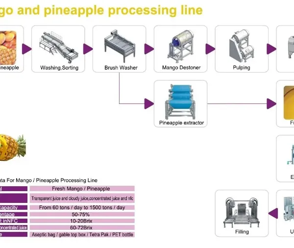 25T/H Automatic Pineapple Production Line photo-4