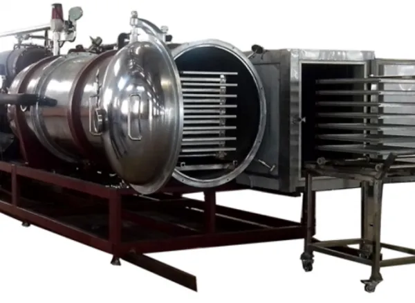 Industrial Freeze Dryer for Fruit and Vegetable on Sale Freeze-dried Mangoes Freeze-dried Raspberries Production Line photo-5