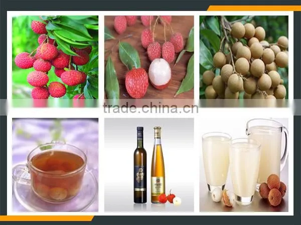 Leader High Quality Fruit Juice Refiner for Litchi photo-5