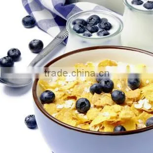 Nachos Chips Production Line MY SKYPE:dateany271 photo-5