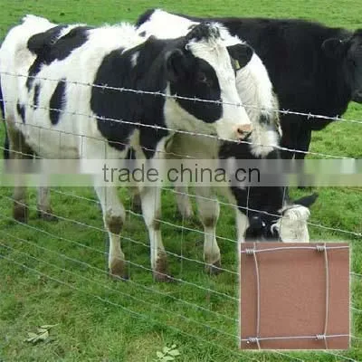 2016 Hot Sale Made in China Cattle/goat/ranch Fence photo-4
