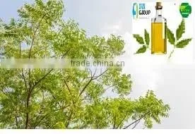 Raw and Pure Neem Oil photo-2