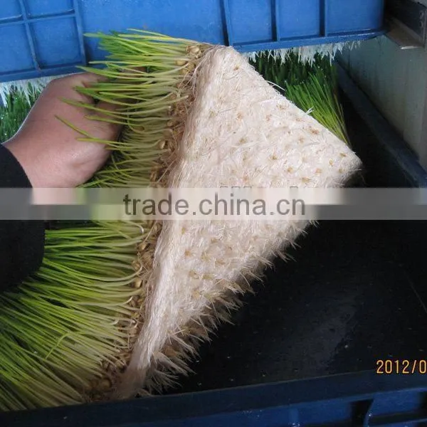 2016 Popular Animal Feeding Machine photo-6