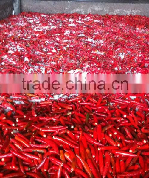 SALTED RED CHILLI