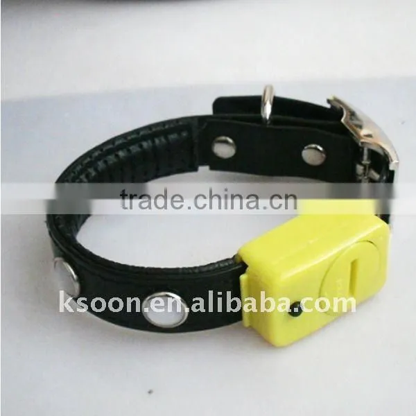 LED Flashing Pet Collar
