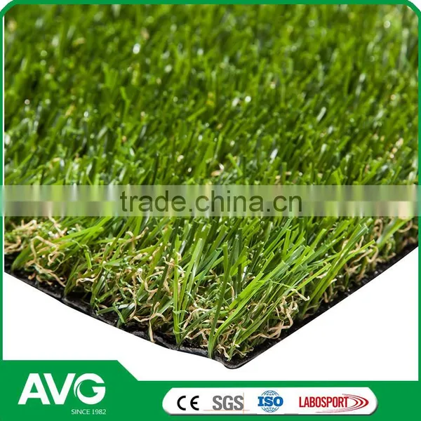 High Level Good Looking Decorating Garden Grass for Wholesale photo-3