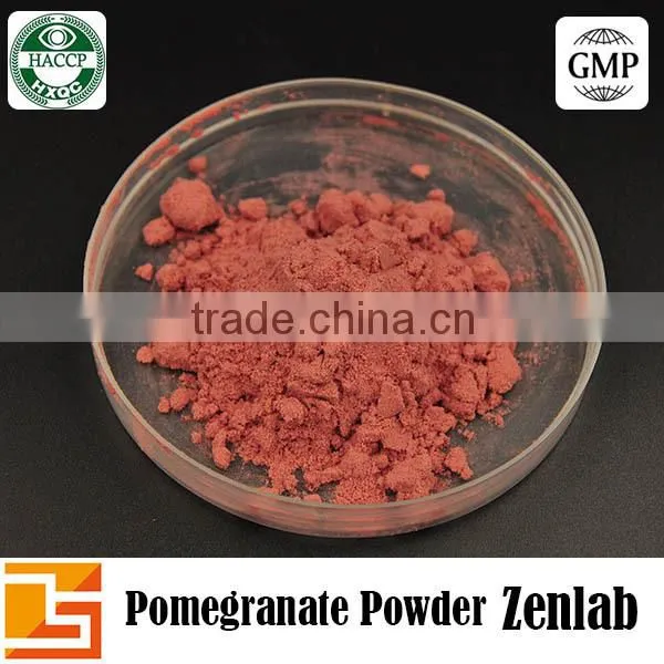 100% Organic Pomegranate Seed Powder for Pomegranate Fruit Juice photo-2