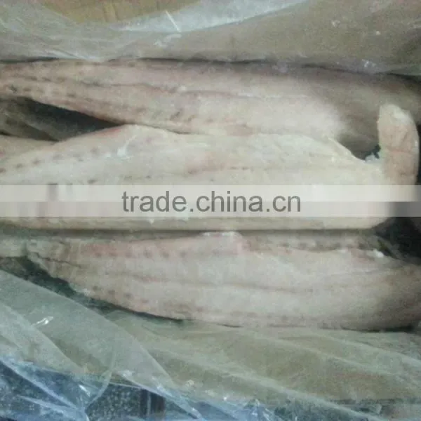Bonito Fillet photo-4
