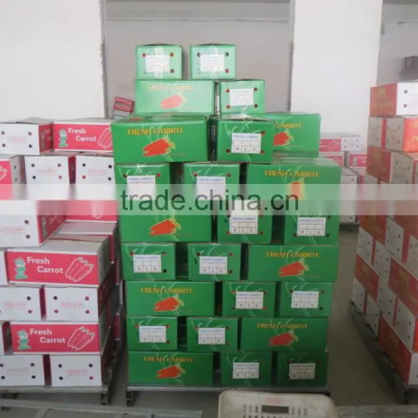2014 Best Price Fresh Frozen Carrots Slice photo-4